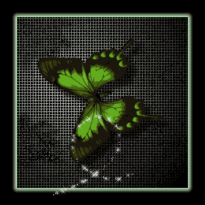 butterfly myspace graphics