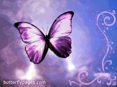 Butterfly Graphics