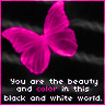 butterfly myspace graphics
