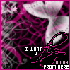 butterfly myspace graphics