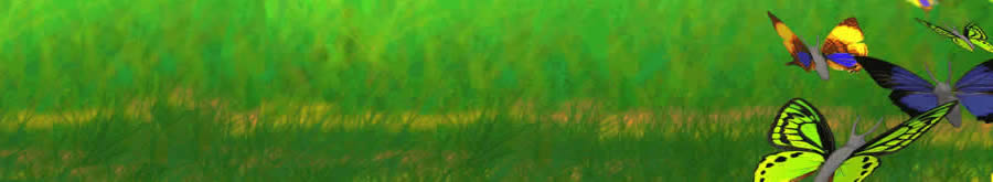 Summers Day | Butterflypages.com